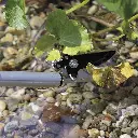 FLEXICUT_BEAUTY_3_2000x2000 (1).webp