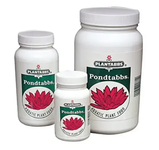 [PLTA0136] PONDTABBS PLUS - 60 CT.     