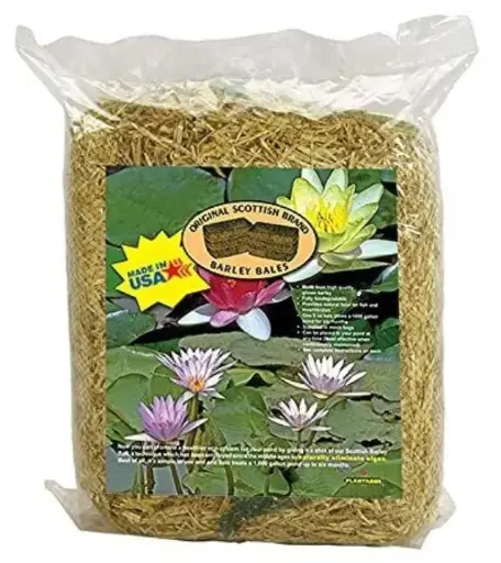 [PLTA3524] PONDTABBS  SINGLE BARLEY BALE