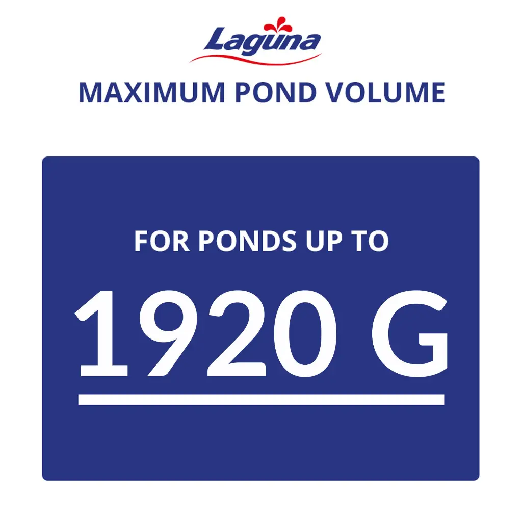 Artboard 10 (5).webp