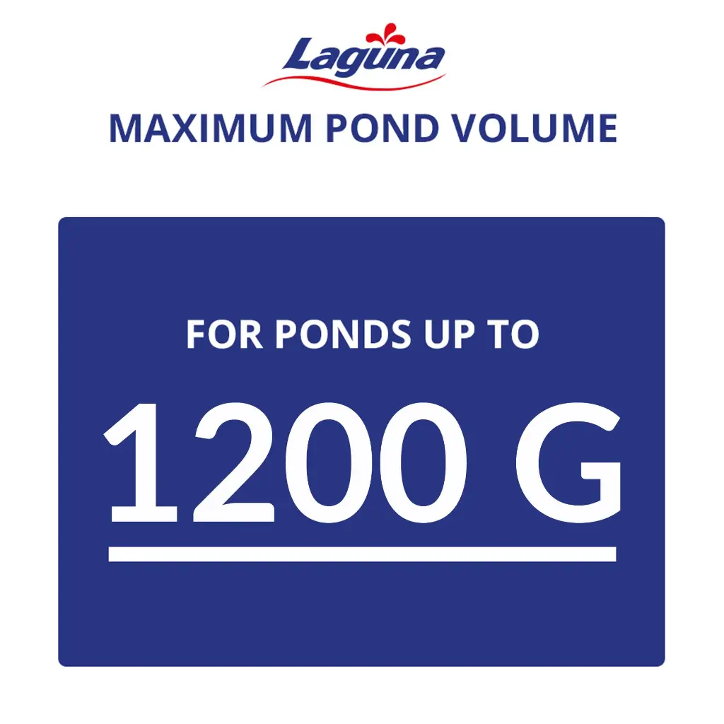 Artboard 10 (6).webp