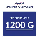 Artboard 10 (6).webp