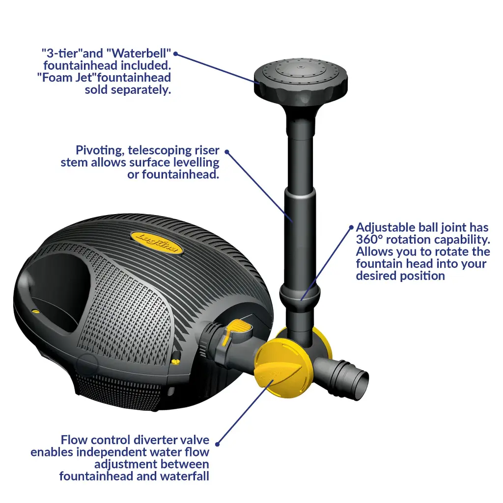 PT02 (7).webp