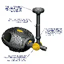 PT02 (7).webp
