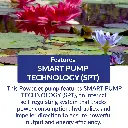 PT12.webp