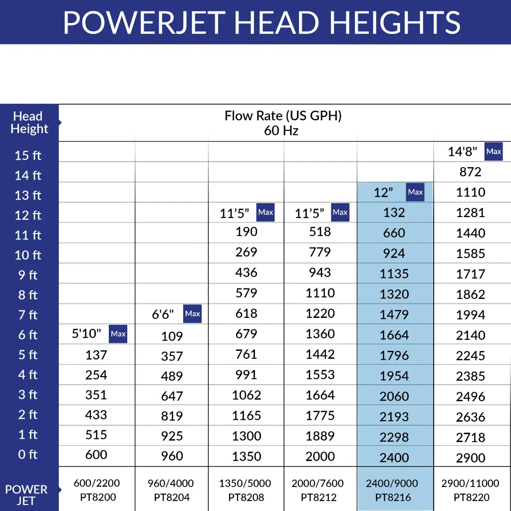 PT07 (1).webp