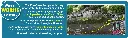 222_1.webp