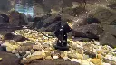LED4WW_UnderwaterLED_Beauty3.webp