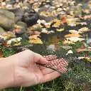 image_1024