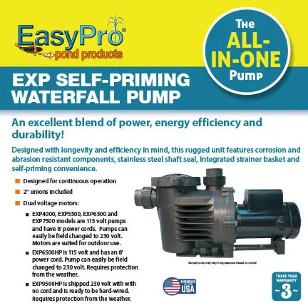 EXP-INFOGRAPHIC-2.webp