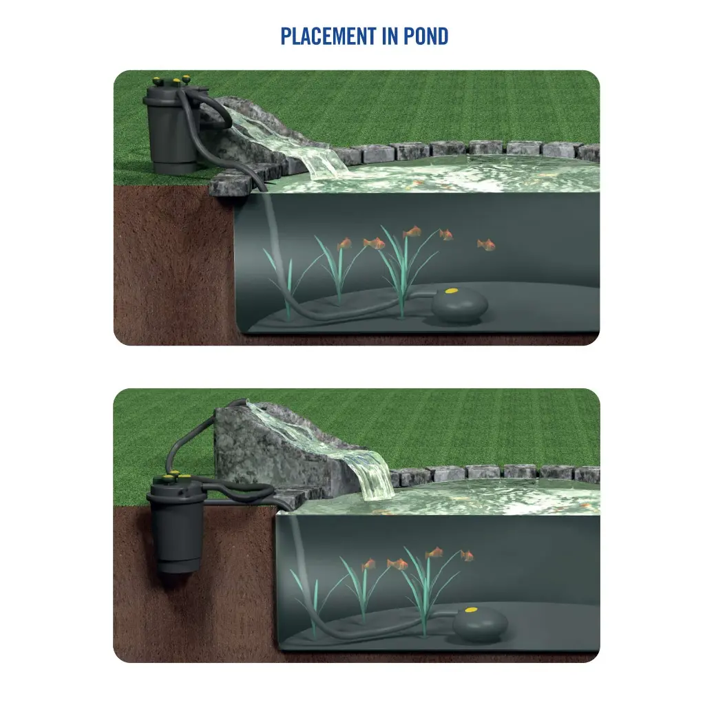 Pond_Placement-01-1.webp