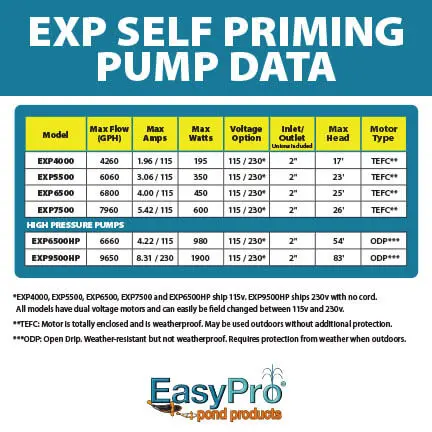 EXP-INFOGRAPHIC-3.webp
