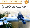 81YboFJue+L._AC_SL1500_.webp