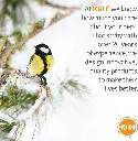 81ClHAKdm1L._AC_SL1500_.webp