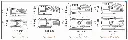 Screenshot 2024-12-01 at 3.04.40 PM.webp