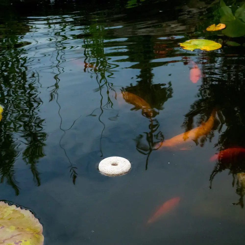 Floating.webp