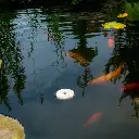 Floating.webp