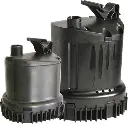 01MasterDW COPPIA SMALL.webp