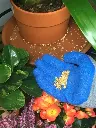 image_1024
