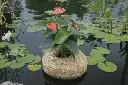 image_1024