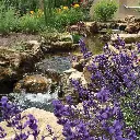 WATER_GARDEN_BEAUTY_FILTERFALLS_1_2000x2000(1).webp
