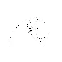 AURA_VASE_CSEAL_INSTALL.webp