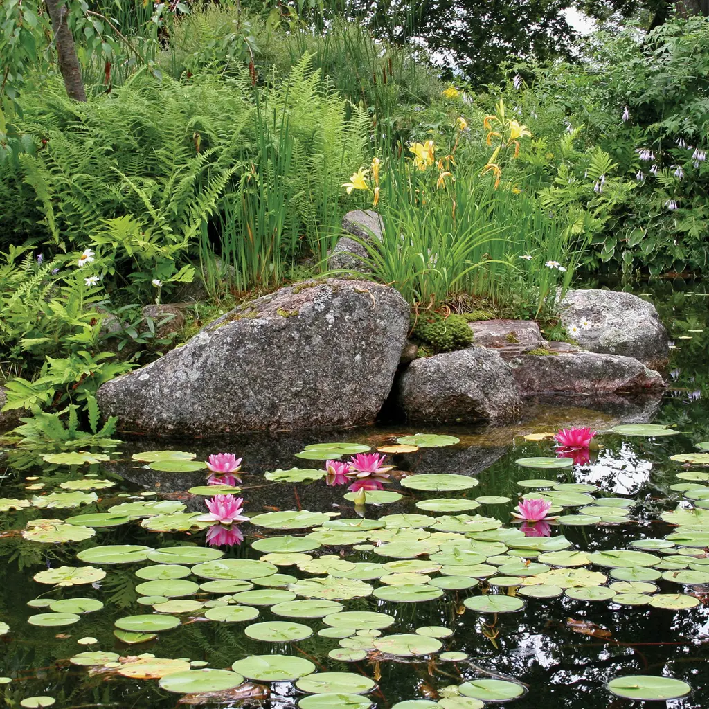 WATER_GARDEN_BEAUTY_1_2000x2000(6).webp