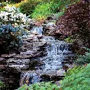 POND-FREE_BEAUTY_4_2000x2000(1).webp