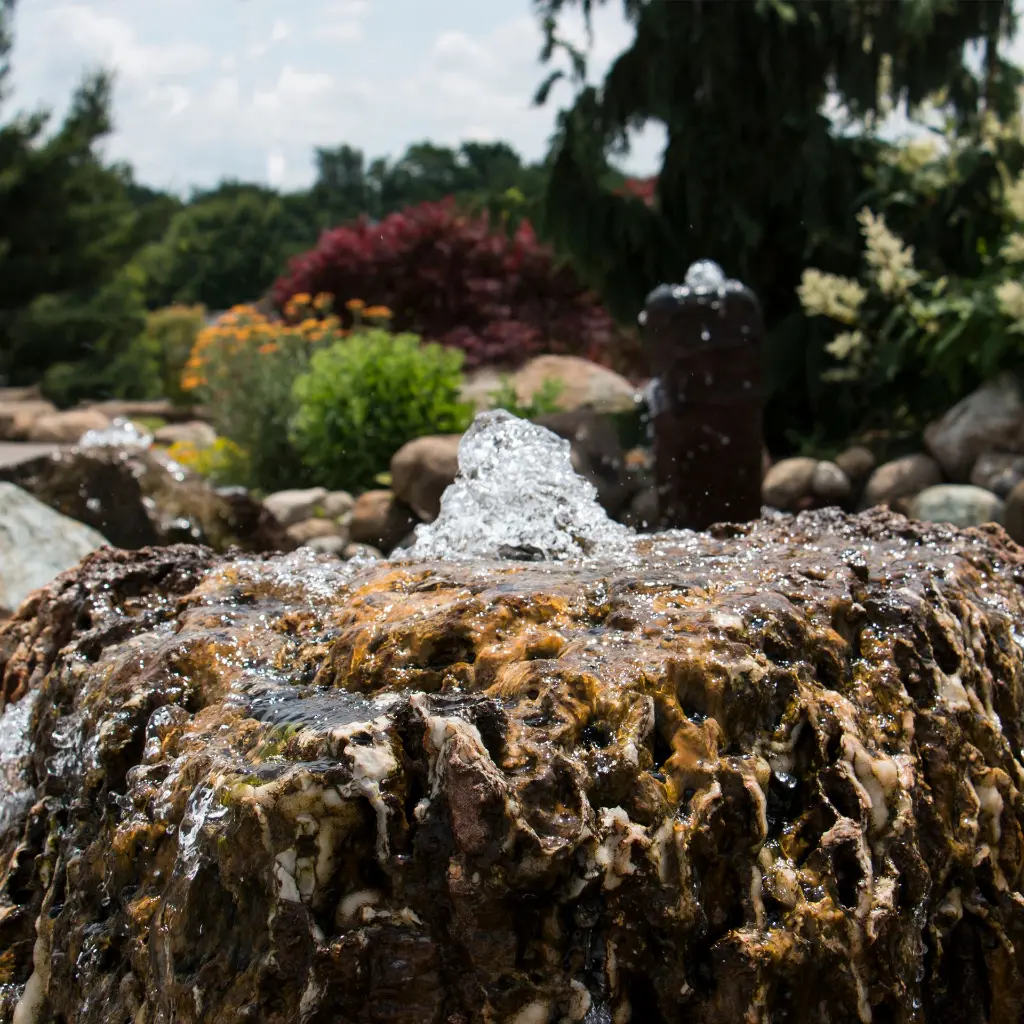 615613d655dee (1).webp