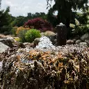 615613d655dee (1).webp