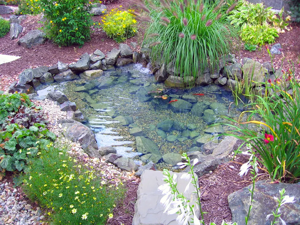 ET811FB_PondKit_Lifestyle_DavesPond_RGB300_SM.webp