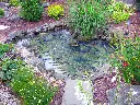 ET811FB_PondKit_Lifestyle_DavesPond_RGB300_SM.webp