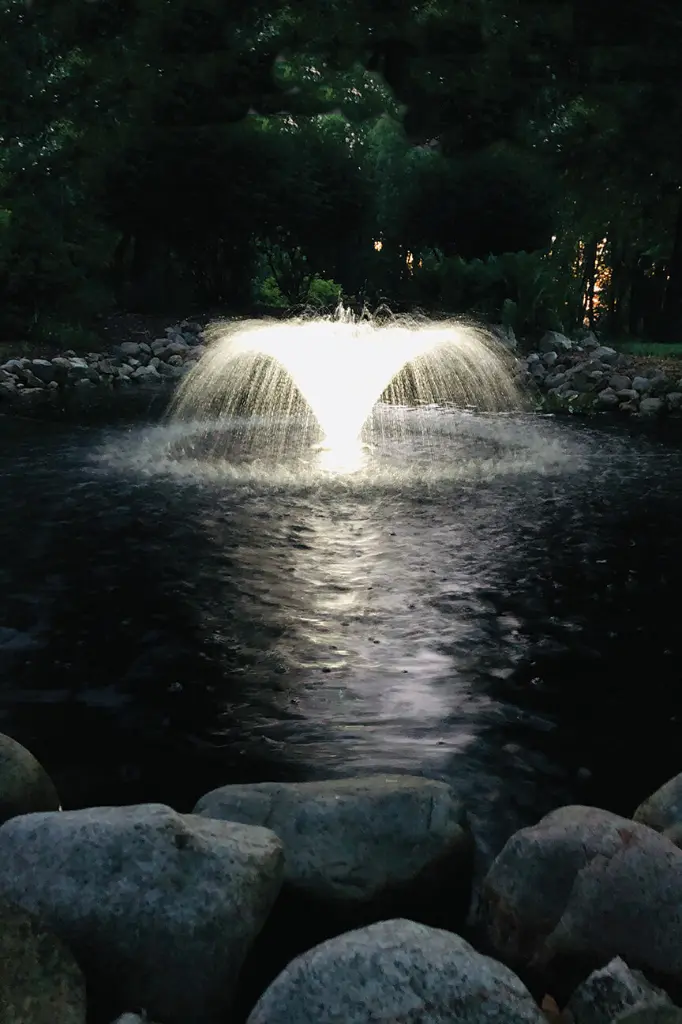 MWF36_MiniFountain_NightLight_WEB-SM.webp