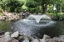 MWF36_MiniFountain_InPond_WEB-SM-1.webp