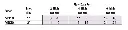 BronzeMulti-MS-2.webp