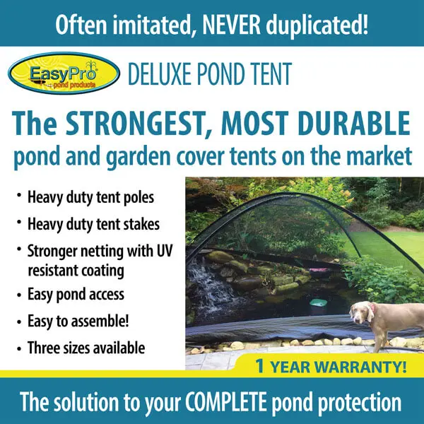 Pond-Tent-Universal-IG1.webp