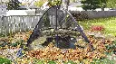 PCT810_PondTent_InUse_RickSmith3_NoStatue_extendedfence_wZipper_RGB300_LG-scaled-1.webp