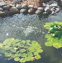 Pond_Aeration_UpperToLower_wYard1_RSmith_Sq_Crop_CMYK300_LG-2.webp