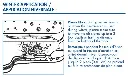 75001_4OutletPondAerator_WinterApplication-820x494.webp