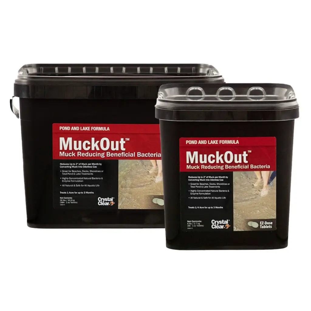 crystalclear-muckout-group-1000__80903.webp