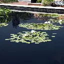 TYPHOON_POND_DYE_BEAUTY_BLACK_2000x2000.webp
