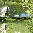 airmax-algae-defense-before-after-dock-1000__40603.webp