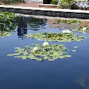 image_1920