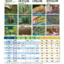 herbicide-algaecide-product-selection-guide-flyer__60336.webp