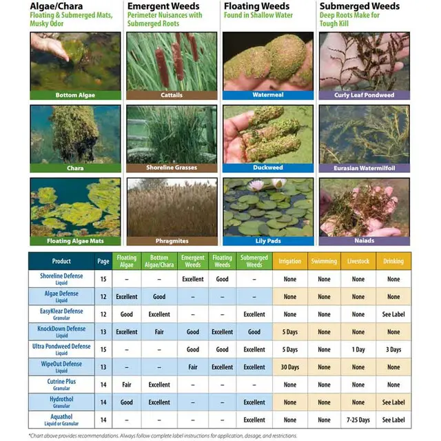 herbicide-algaecide-product-selection-guide-flyer__60336.webp