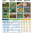 herbicide-algaecide-product-selection-guide-flyer__60336.webp