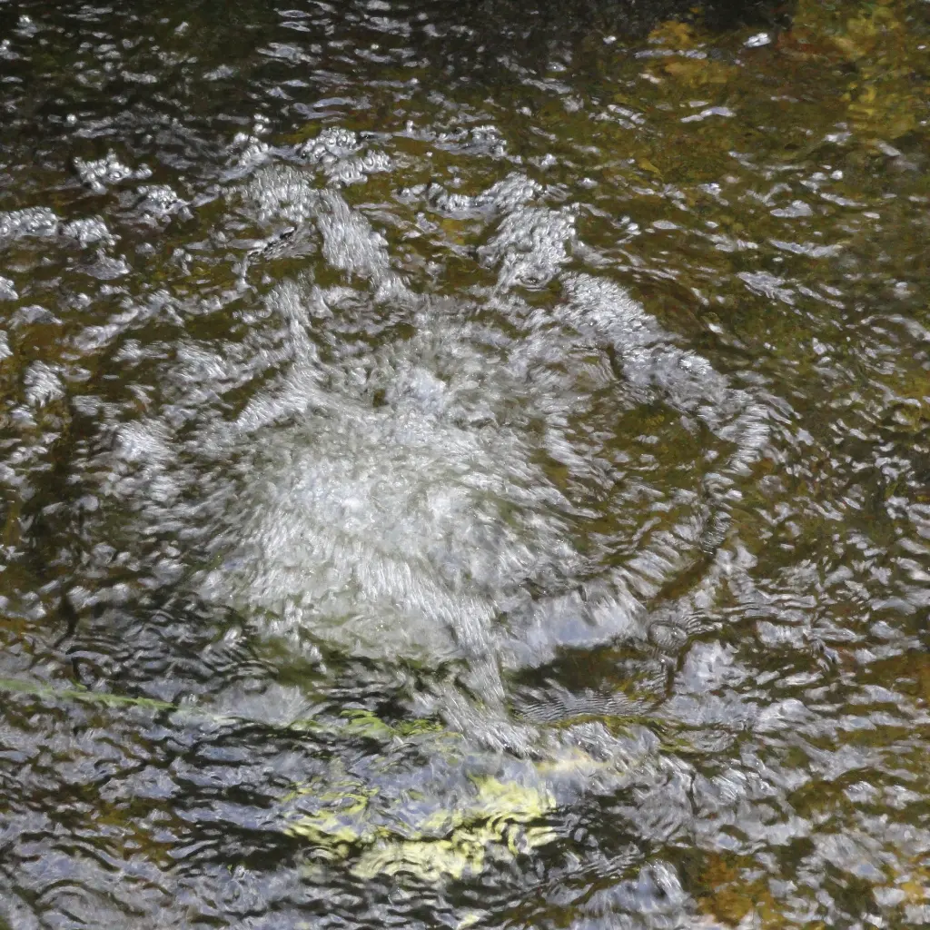 AERATION_BEAUTY_2_2000x2000(1).webp