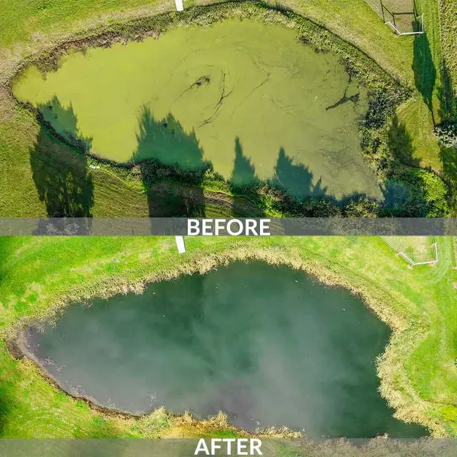 aerial-before-after-knockdown-defense-treatment-1000__46739.webp