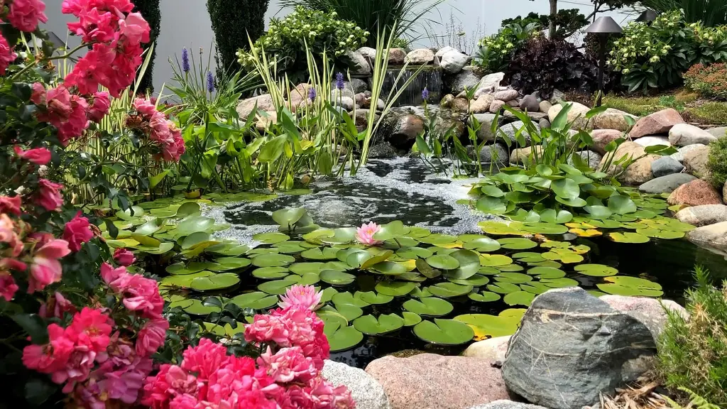 Aeration_SmallPond_Plants_RickSmith_RGB300_SM_LR.webp