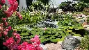 Aeration_SmallPond_Plants_RickSmith_RGB300_SM_LR.webp